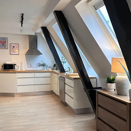 Management Lov Apartman