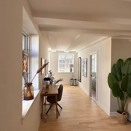 Apartment Lovstraede From 1 To 6 - Carolinas *